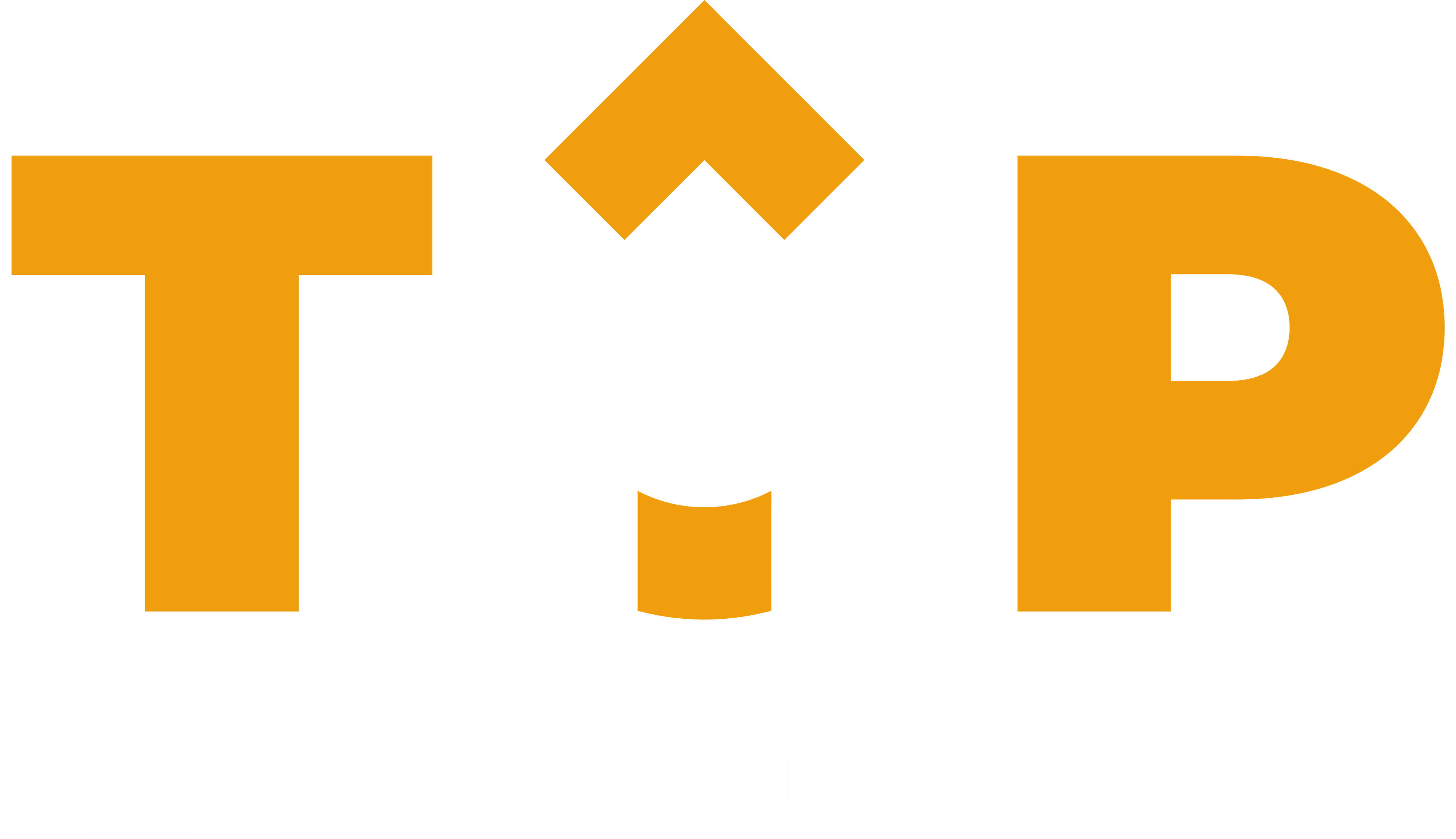 TOP LEARNING - Logo oficial